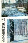 "Охотник". Информационный бюллетень. 1980 г. 