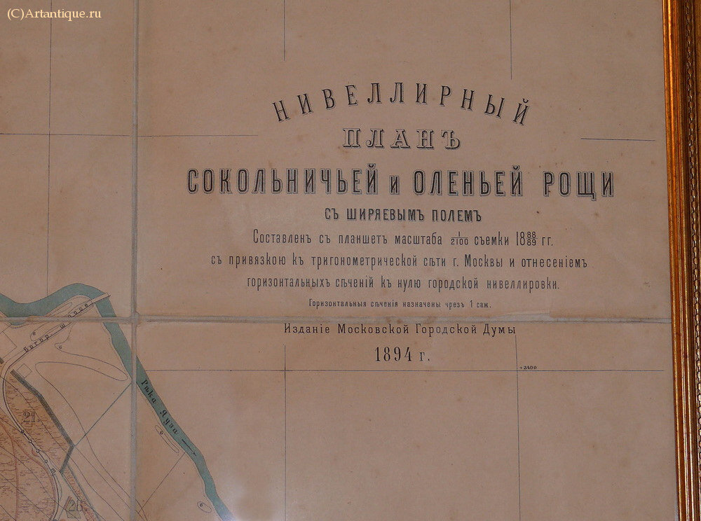 Нивеллирный план Сокольничьей и Оленьей рощи