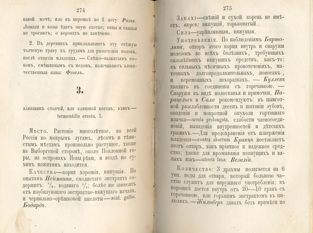 Кашинский И. (доктор медицины и хирургии)