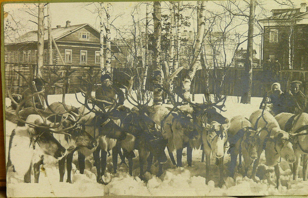 Подборка фотографий "Алданский прииск"