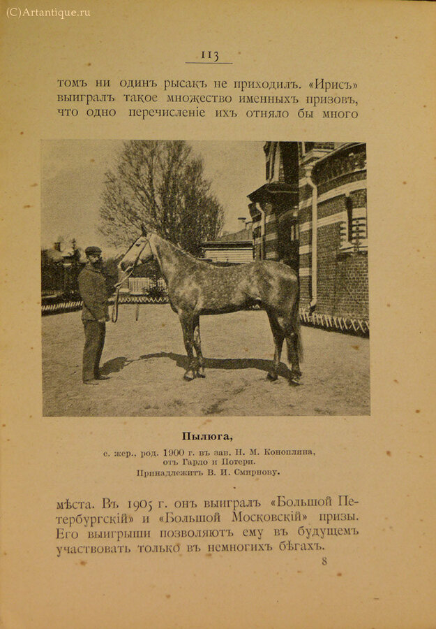 Альманах спорта