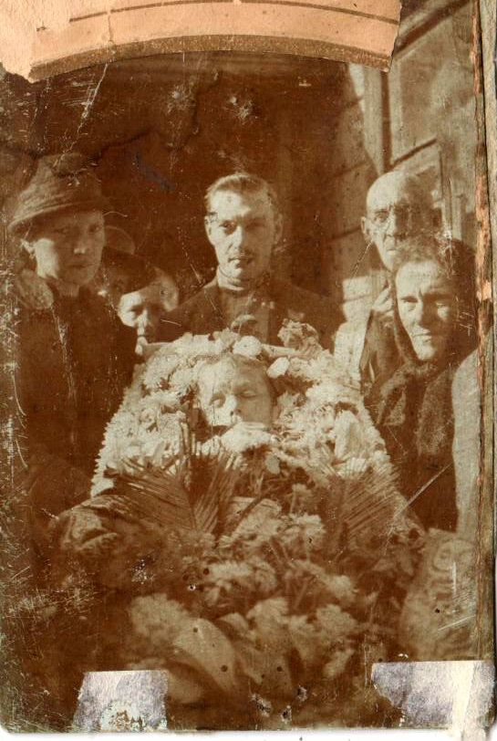 Фотографии