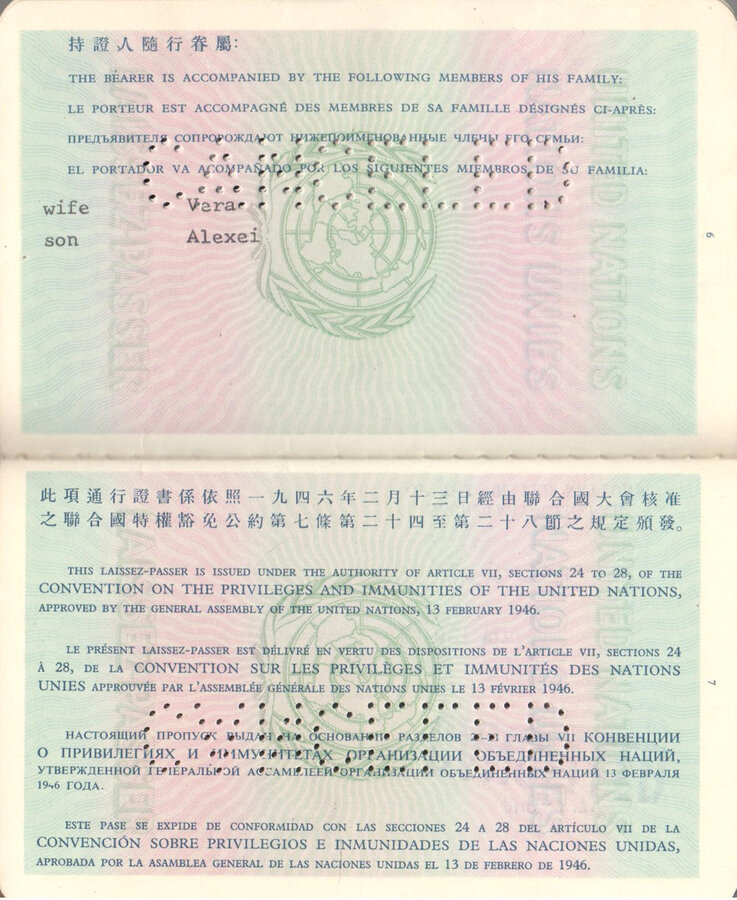 Паспорт № 45790 должностного лица ООН