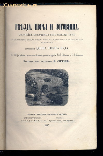 Вуд Джон Георг