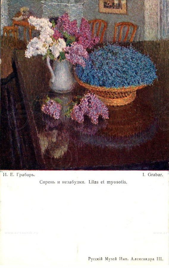 Берег Мертвых Незабудок Купить Книгу