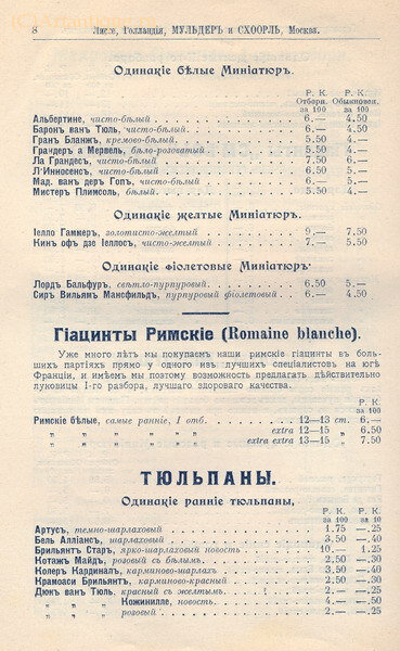 Мульдер А. А. и Схоорль А. И.