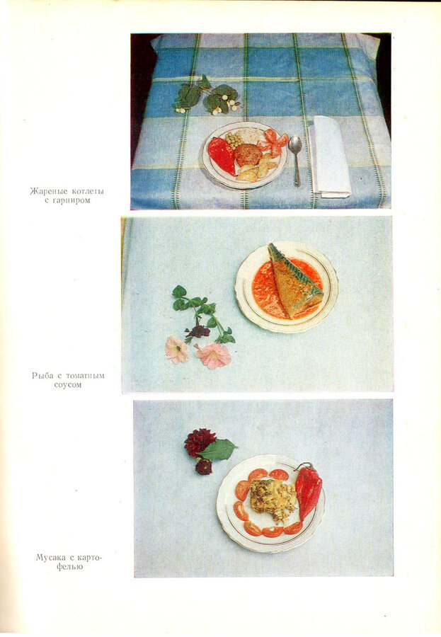 О. Каменова 