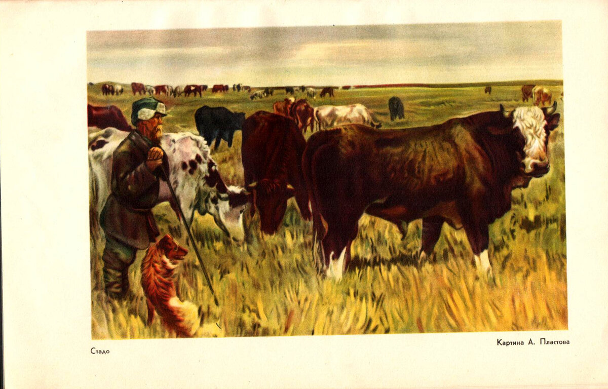 Михайлов Н.Н.