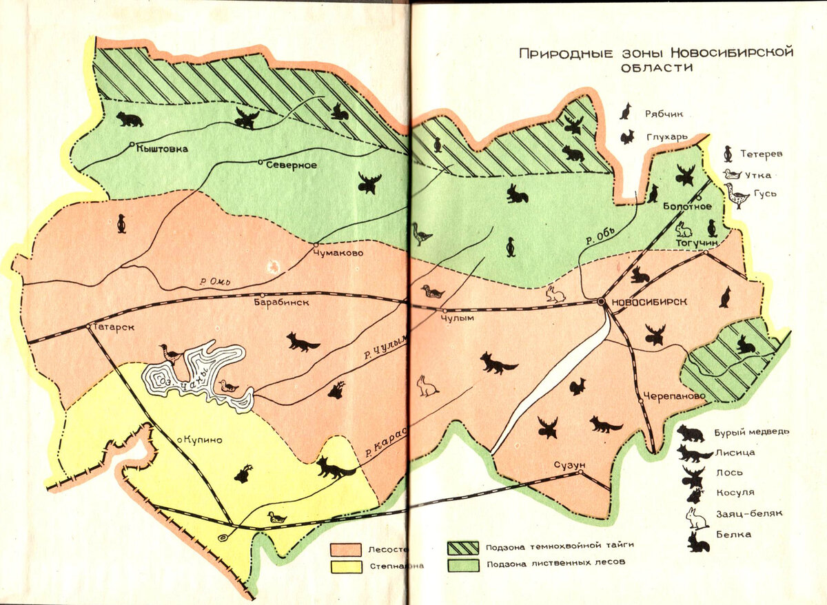А.В. Кузнецов, Н.А. Кузнецов 