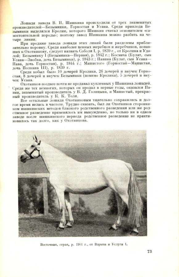 В.А. Щекин, В.С. Гриц 