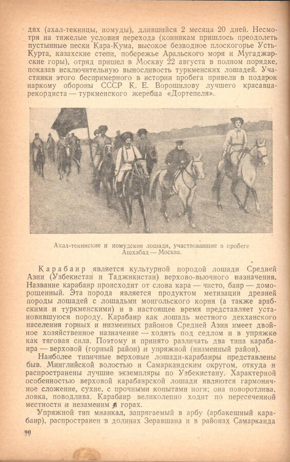 Н.М. Шпайер