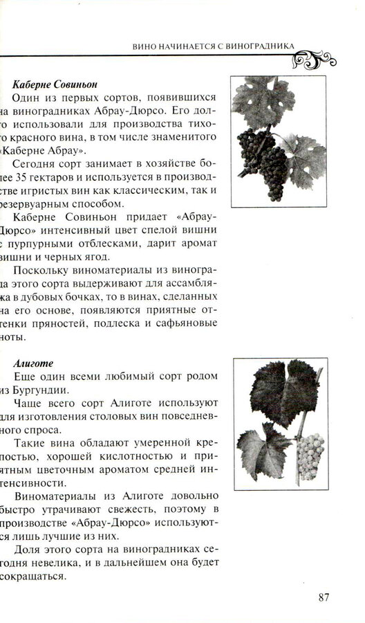 Ю.Б. Титов, А.Ю. Левычкина