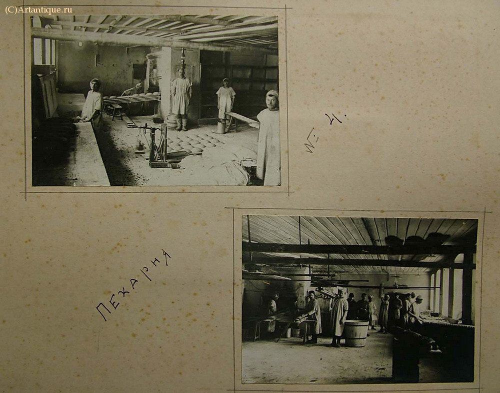 Фотоархив и альбом фотографий Н.М. Скворцова