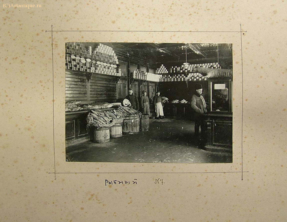 Фотоархив и альбом фотографий Н.М. Скворцова