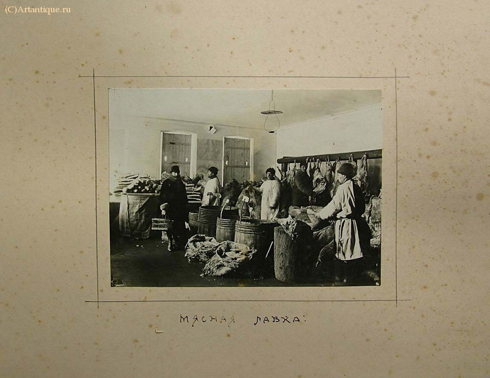 Фотоархив и альбом фотографий Н.М. Скворцова