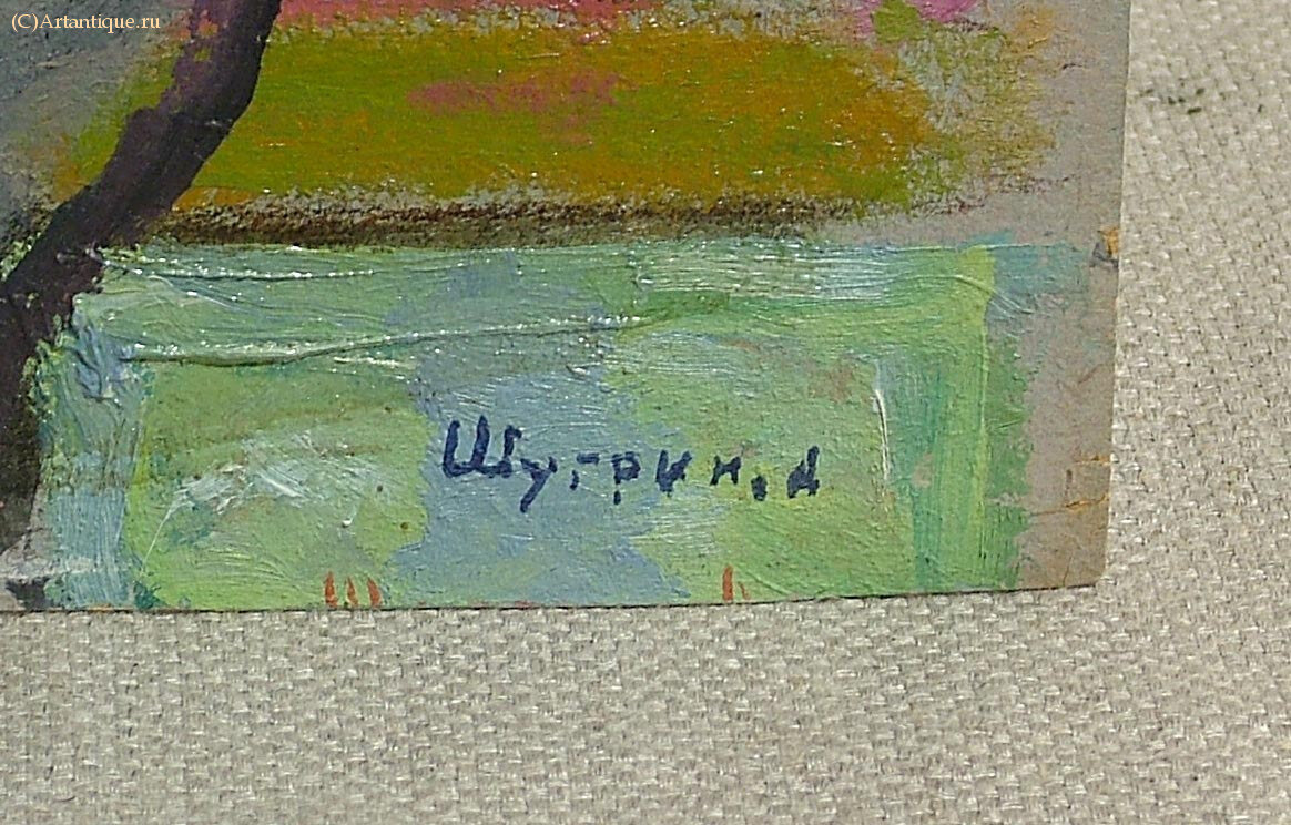 Коллекция картин А.И.Шугрина