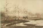 Открытки "Русская и зарубежная живопись" 1903-1912.