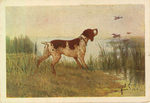Художник А.Э. Мако. Спугнул. - 2000 р.