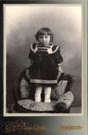 Фотография С.А. Дынкина. Смоленск. - 3000 р.