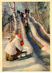 На ледяной горке. Фото Л. Бородулина - 1800 р.