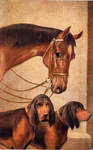  ""  . 1903 -1925