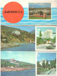  "" . 1982 .  11 .