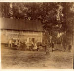   "" . 1900-1910 .