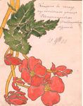          1900 .