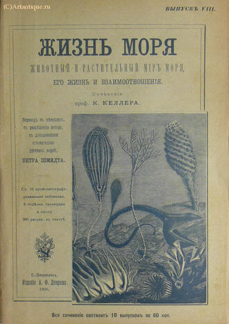 Келлер К.