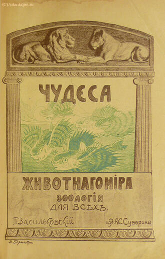 Васильковский П. Е.