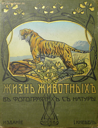 Чарльз Д. Корниш (составитель)