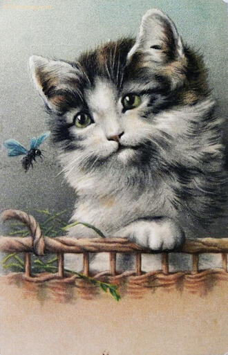 Открытки "Котята и кошки"