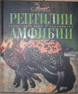 Рептилии, амфибии