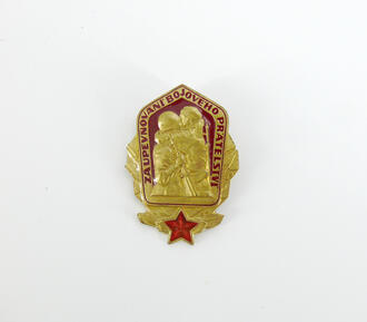 Знак Боевое братство