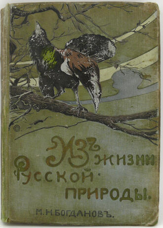 Книга «Из жизни русской природы»